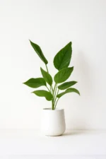 Green Spirit II | Poster