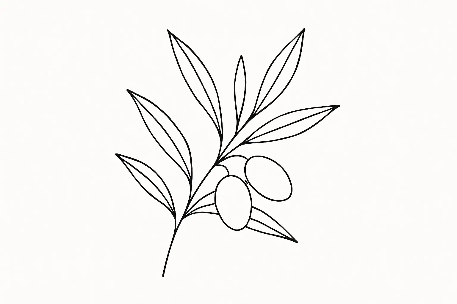 Olive Line Olive Line - Image 1