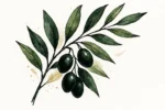 Olive Spirit I | Canvas