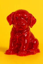 Red Puppy Pop | Canvas