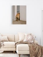 Curius Tail | Canvas - Image 2